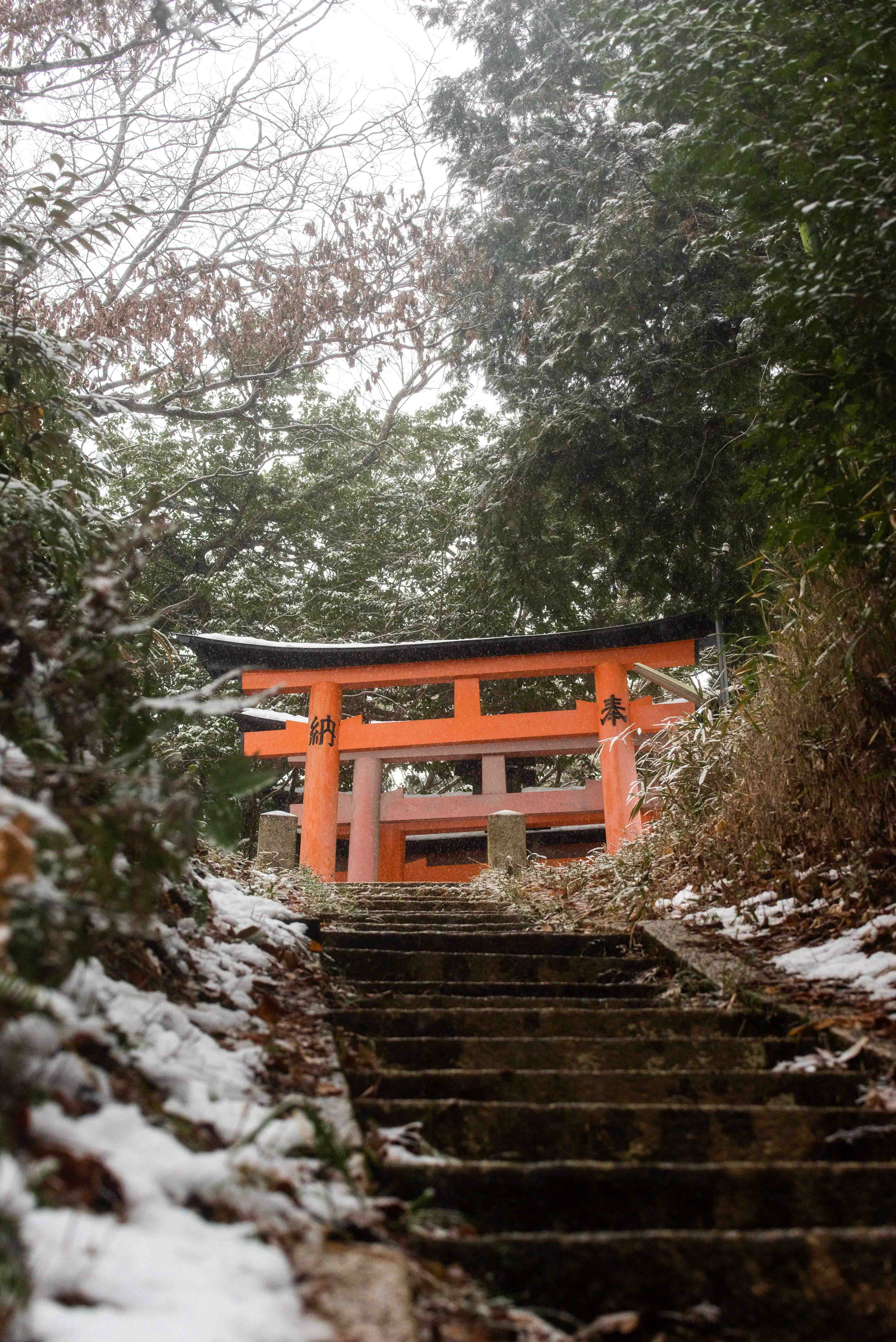 Abandoned houser in Fukushima